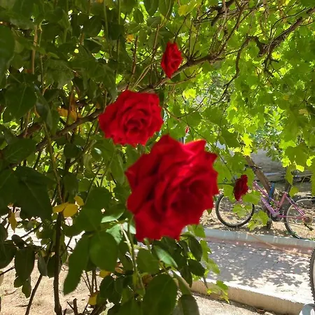 A New House With Garden In Center Appartement Antalya