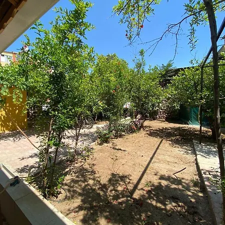 A New House With Garden In Center Appartement Antalya